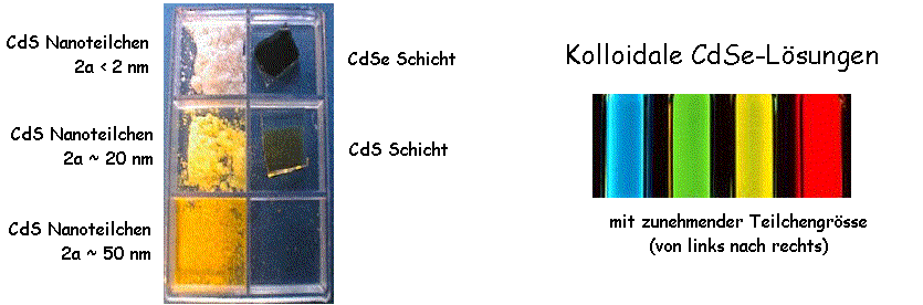CdX Proben